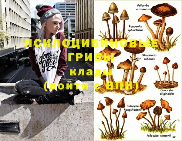 МДПВ Коряжма