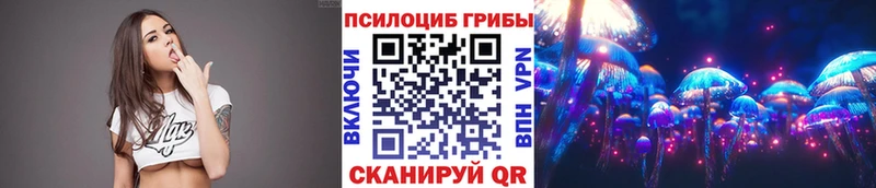 цена наркотик  Красноперекопск  Псилоцибиновые грибы Magic Shrooms 