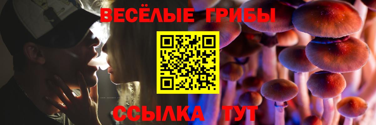 Красноперекопск  Псилоцибиновые грибы мухоморы  Вход с VPN  Галлюциногенные грибы прущие грибы 